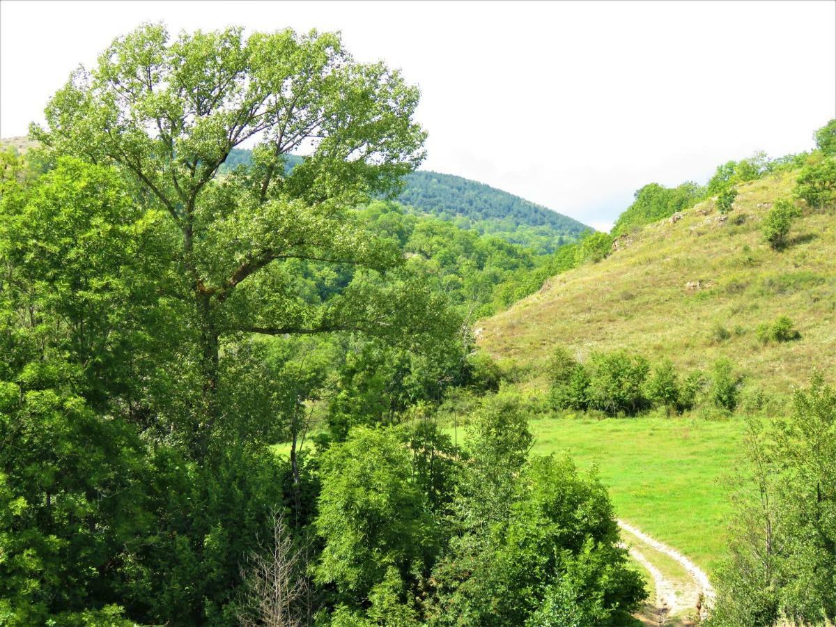 Vaque Villeneuve Des Escaldes Angoustrine Dış mekan fotoğraf